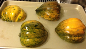 baked acorn squash 6