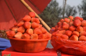 Ways to Save Money with Seasonal Fruits and Vegetables Ways to Save Money with Seasonal Fruits and Vegetables