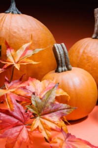 Fall Fruits & Vegetables Fall Fruits & Vegetables