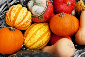 Types of Squash Types of Squash