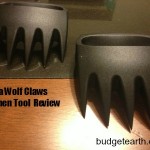 epica wolf claws featured