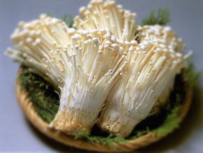 Enoki