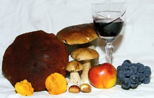 Types of Mushrooms: Learning Your Shrooms Types of Mushrooms: Learning Your Shrooms