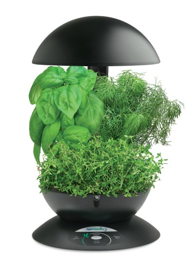 aerogarden