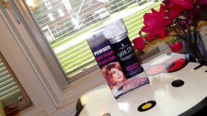 Got2b’s POWDER’ful Volumizing Styling Powder Review Got2b’s POWDER’ful Volumizing Styling Powder Review