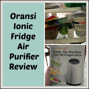 Oransi Ionic Fridge Air Purifier Review Oransi Ionic Fridge Air Purifier Review