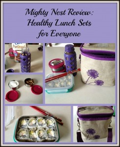 Mighty Nest Review: Healthy Lunch Sets for Everyone Mighty Nest Review: Healthy Lunch Sets for Everyone