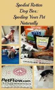 Spoiled Rotten Dog Box Review: Spoiling Your Pet Naturally Spoiled Rotten Dog Box Review: Spoiling Your Pet Naturally