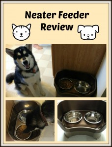 Neater Feeder Review Neater Feeder Review