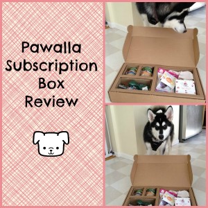 Pawalla Subscription Box Review Pawalla Subscription Box Review