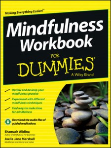 Mindfulness Workbook for Dummies Review Mindfulness Workbook for Dummies Review