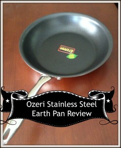 Ozeri Stainless Steel Earth Pan Review Ozeri Stainless Steel Earth Pan Review