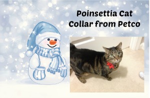 Poinsettia Cat Collar