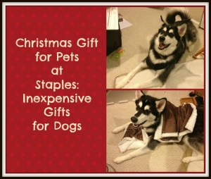 Christmas Gift for Pets at Staples: Inexpensive Gifts for Dogs Christmas Gift for Pets at Staples: Inexpensive Gifts for Dogs
