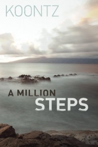 A Million Steps Review A Million Steps Review