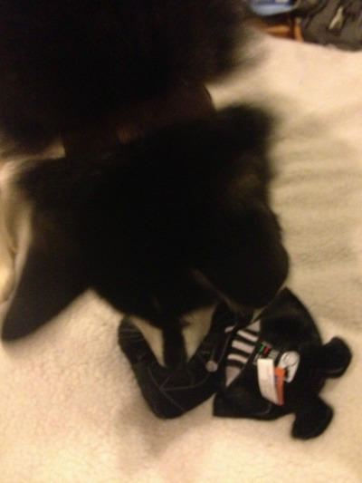 Darth Vader Dog Toy