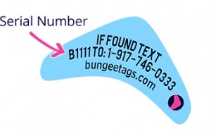 Bungee Tags: Virtual Lost & Found for Everyone Bungee Tags: Virtual Lost & Found for Everyone