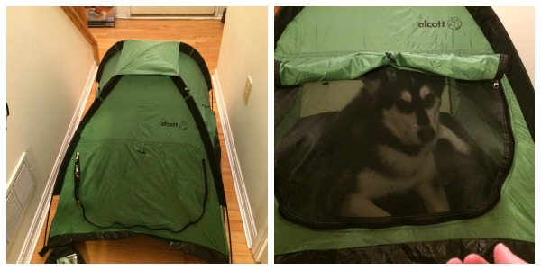 pup tent