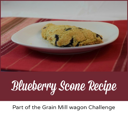 Blueberry Scone Recipe