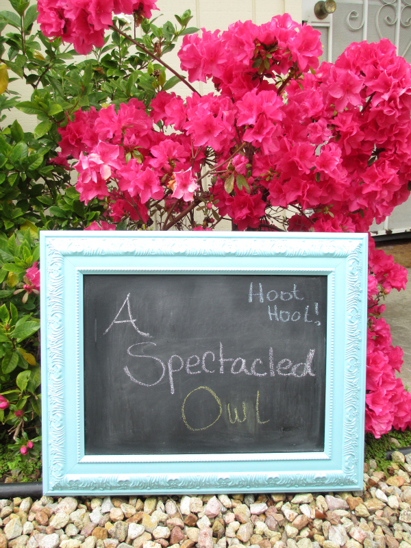 Want to make a cute chalkboard for your office or child's room? Learn how to make your own chalkboard in this fun tutorial from my friend Tara at A Spectacled Owl! 