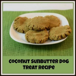Coconut Sunbutter Dog Treat Recipe Coconut Sunbutter Dog Treat Recipe