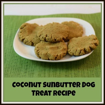 Coconut Sunbutter Dog Treat Recipe feature