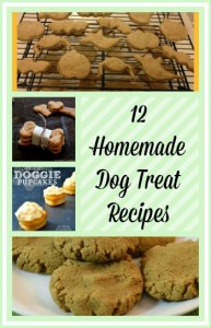 12 Homemade Dog Treat Recipes 12 Homemade Dog Treat Recipes