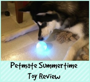 Petmate Summertime Toy Review Petmate Summertime Toy Review