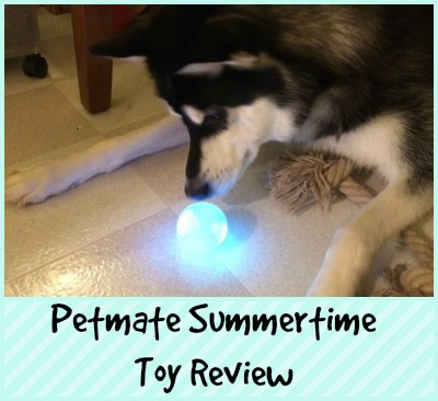 Petmate Summertime Toy Review
