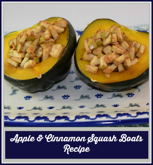 Apple & Cinnamon Squash Boats Recipe 2.2