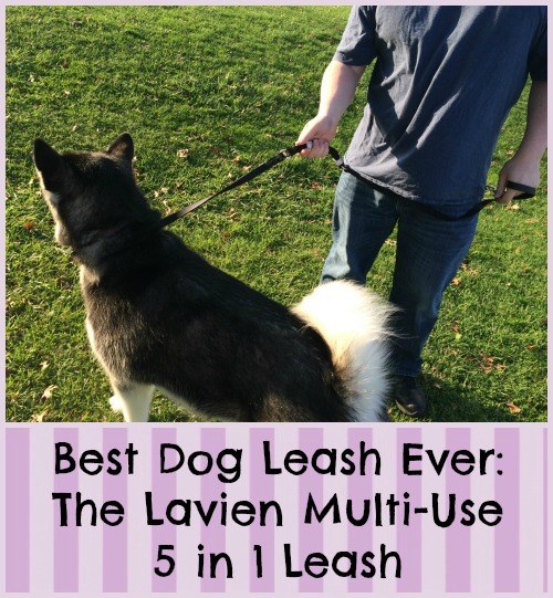 Best Dog Leash Ever The Lavien Multi-Use 5 in 1 Leash