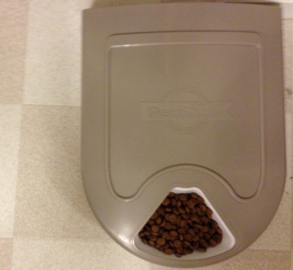 PetSafe Eatwell 5 Meal Automatic Pet Feeder Review | Budget Earth