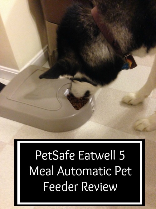 PetSafe Eatwell 5 Meal Automatic Pet Feeder Review