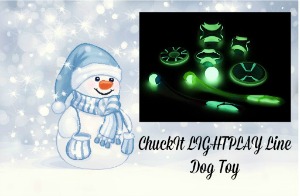 ChuckIt LIGHTPLAY Line Dog Toy