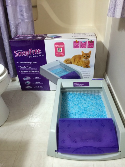 Scoop Free Litter Box 1