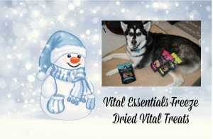 Vital Essentials Freeze Dried Vital Treats