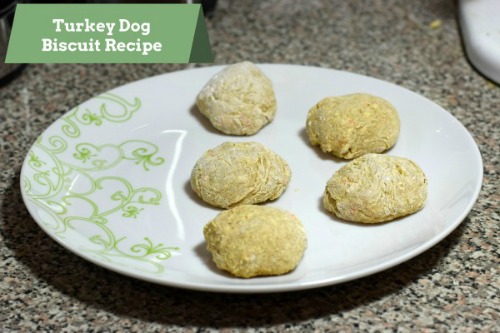 Turkey Dog Biscuit 1