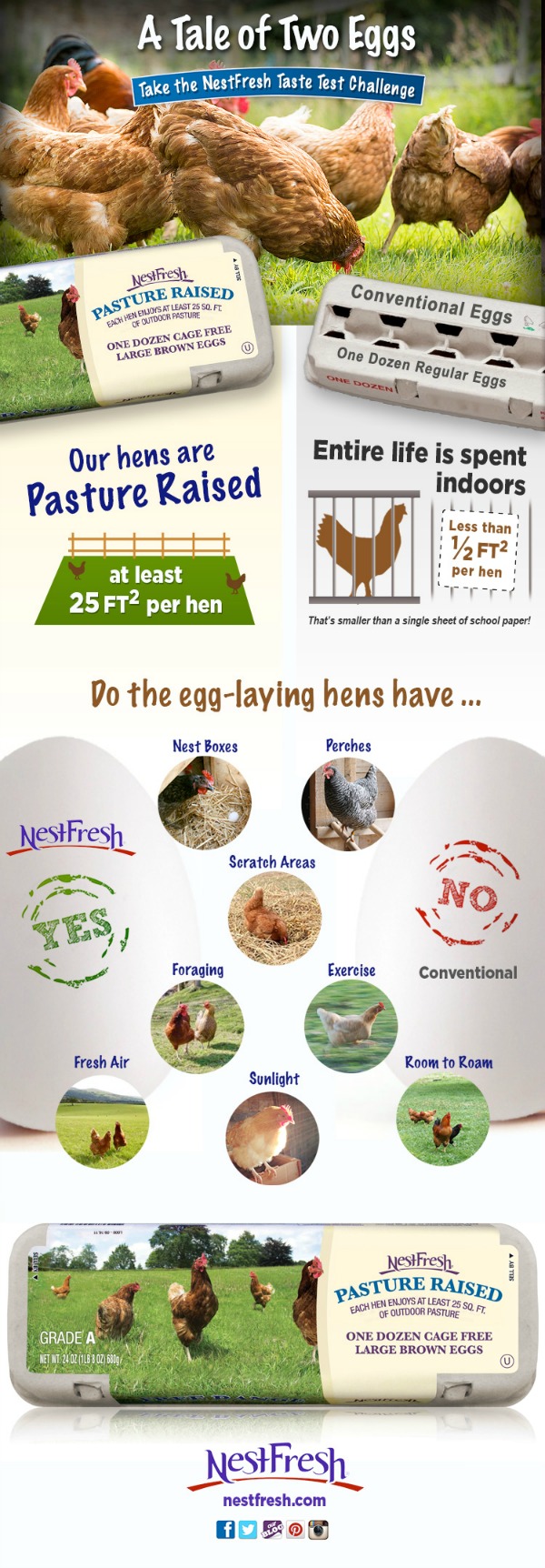 happy-hens-infographic-PASTURERAISED-1-13-15(1)