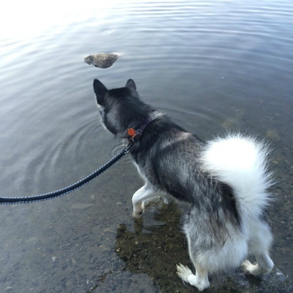 Reya in Lake