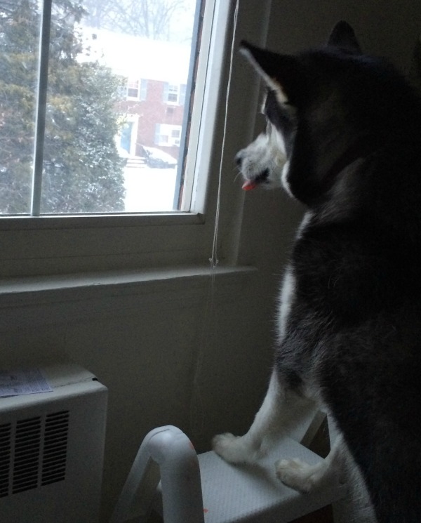 Reya looks outside