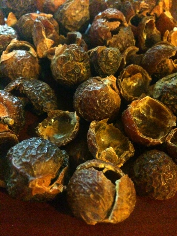 soap nuts