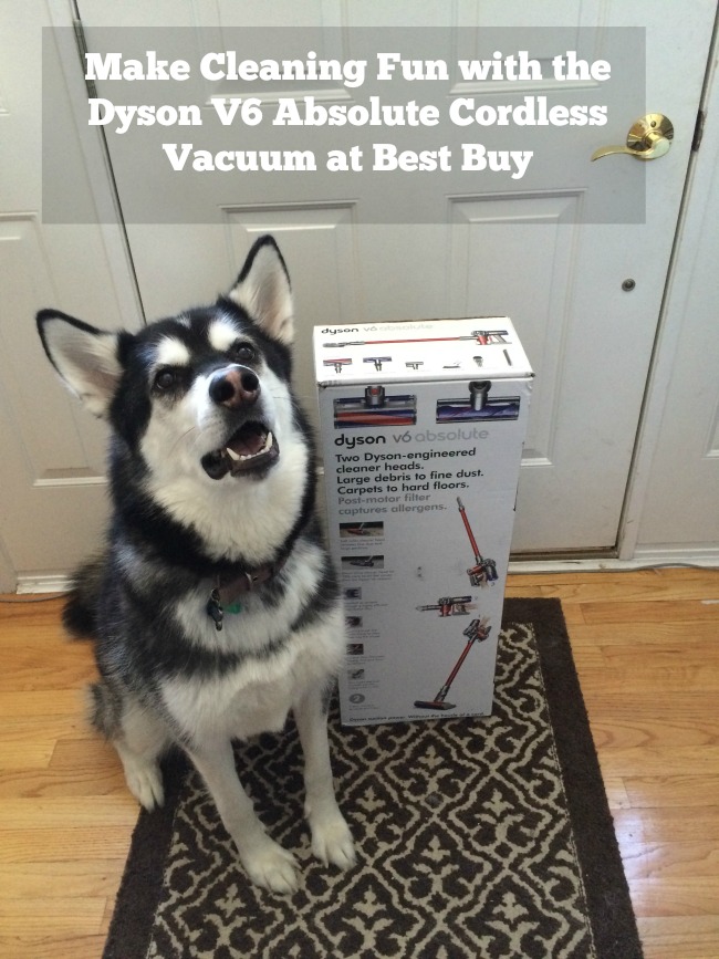Make Cleaning Fun with the Dyson V6 Absolute Cordless Vacuum at Best Buy