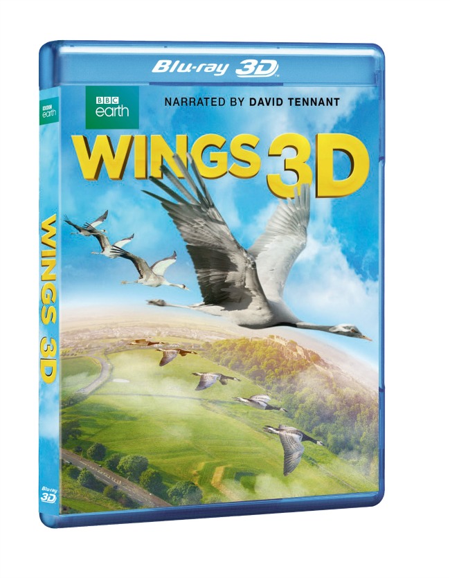 WINGS_3D_BD_3D