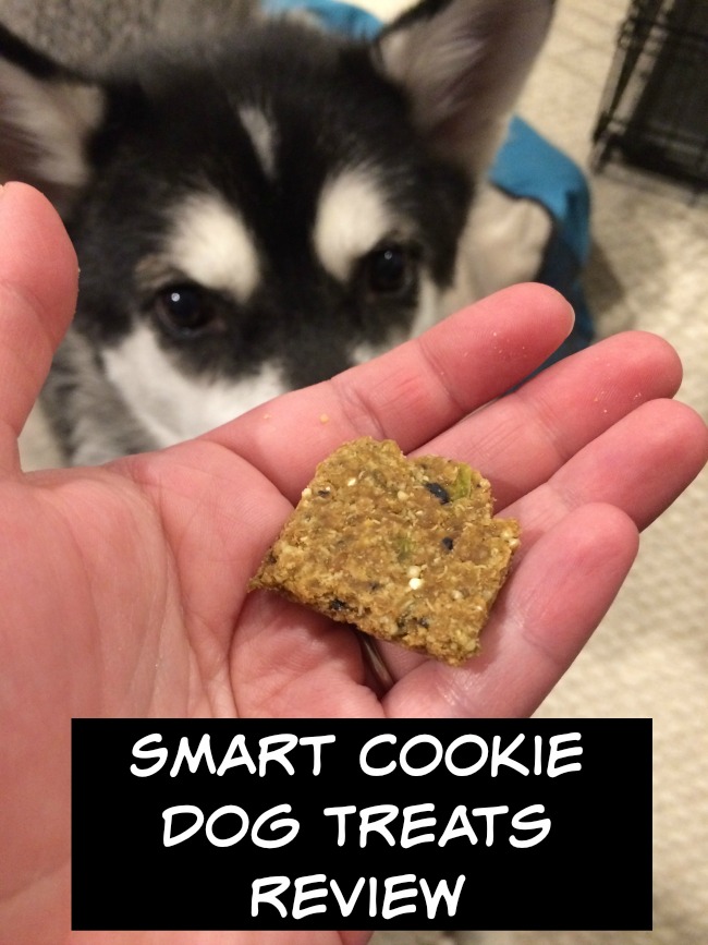 Smart Cookie Dog Treats 3