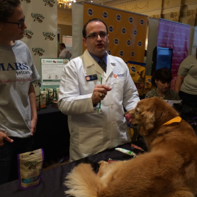 BlogPaws Mars Petcare Greenies