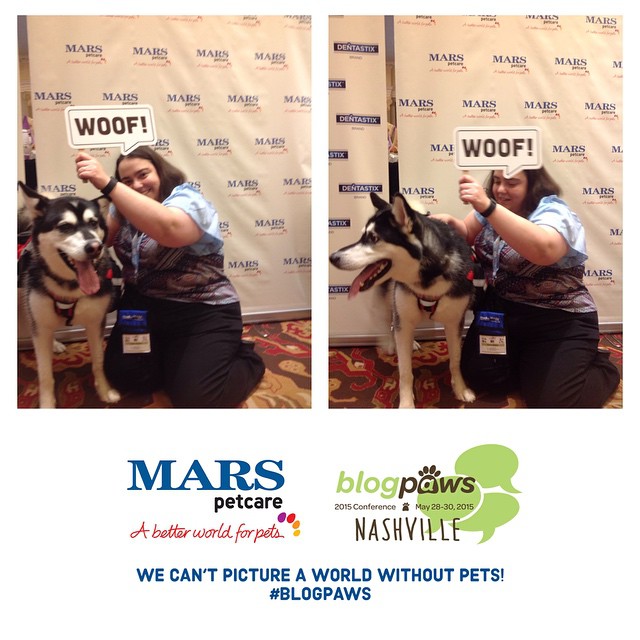 BlogPaws Mars Petcare