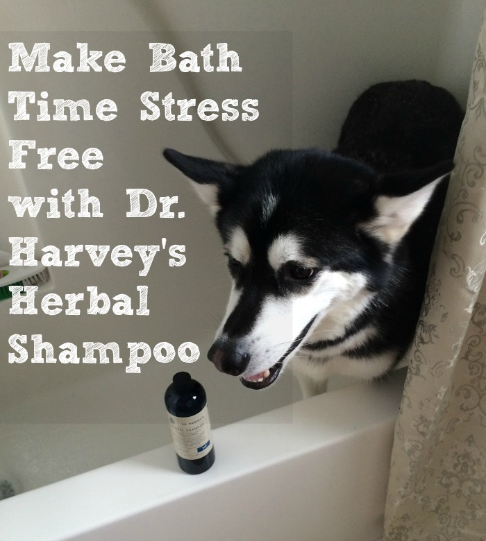 Dr Harvey's Herbal Shampoo