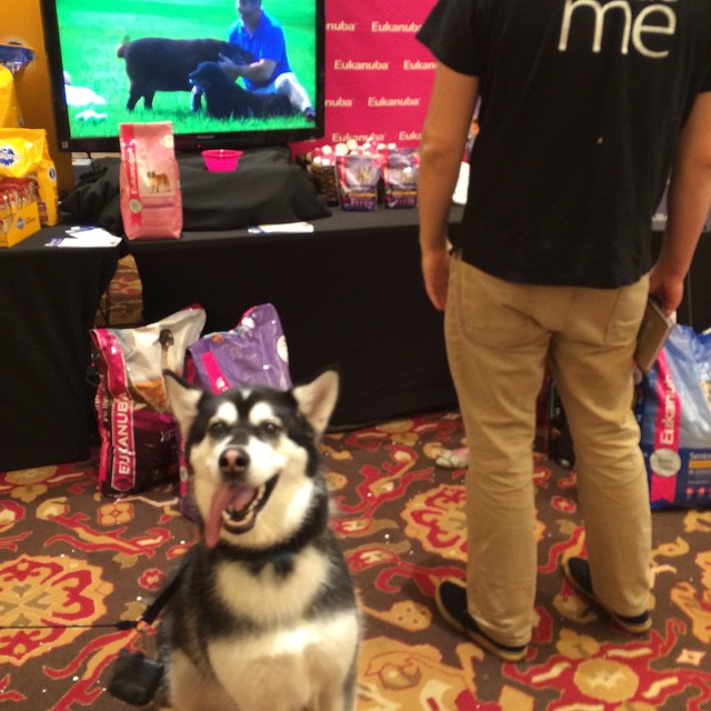 Eukenuba Mars Petcare BlogPaws