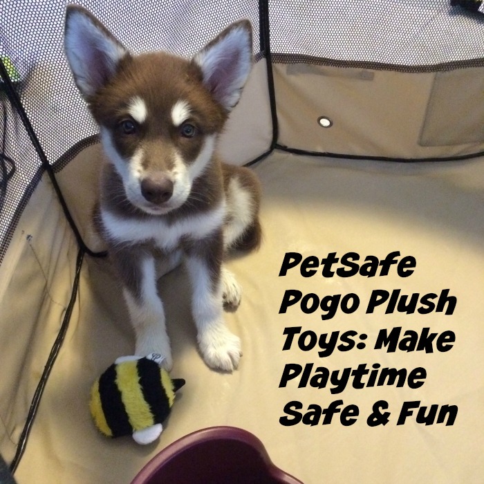 PetSafe Pogo Plush Toys Make Playtime Safe & Fun