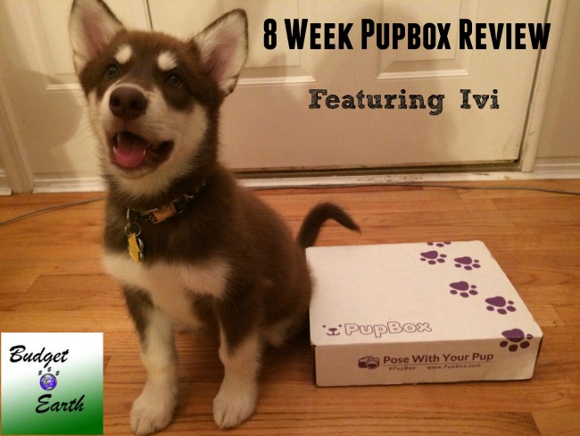 PupBox Review Intro